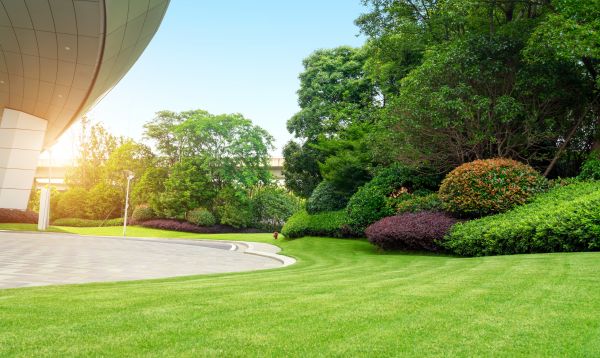 Commercial Lawn Mowing in Prescott Valley