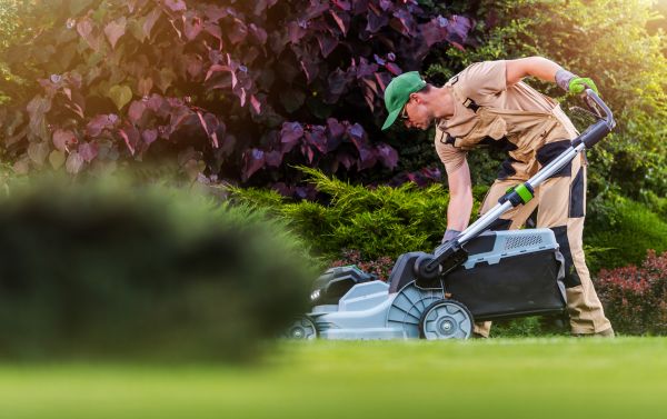 Lawn Care And Maintenance in Prescott Valley
