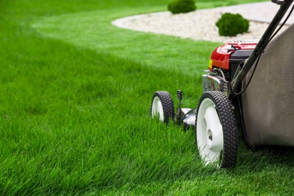 Lawn Cutting Service in Prescott Valley