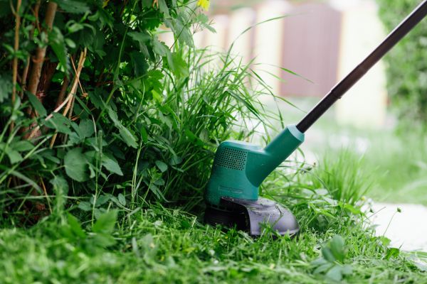 Weed Whacking in Prescott Valley