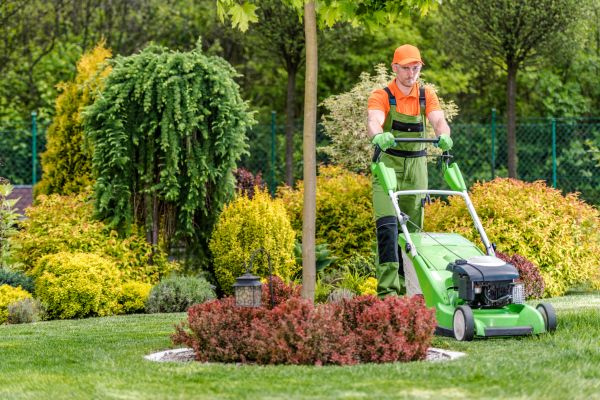 Yard Service in Prescott Valley