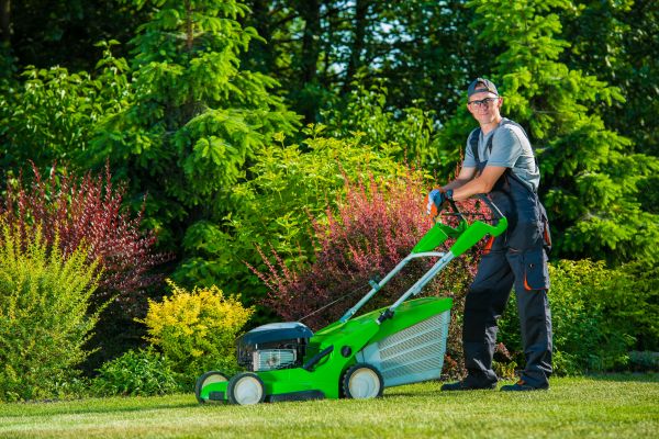 Yard Work Service in Prescott Valley