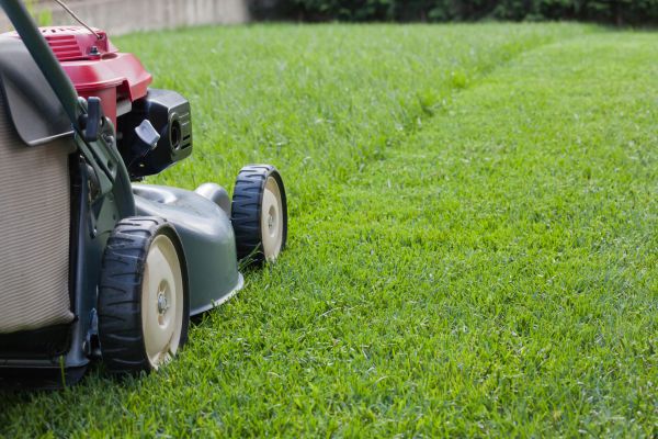 Residential Lawn Care in Prescott Valley