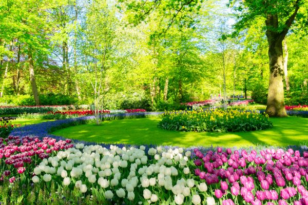 Cost of Spring Lawn Care in Prescott Valley