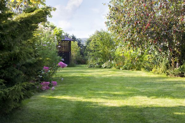 Cost of Yard Upkeep Service in Prescott Valley