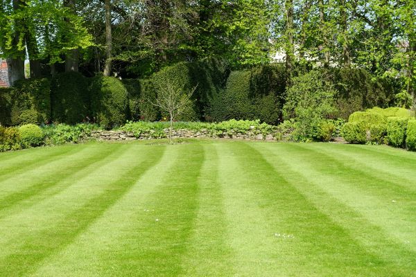 Grass Care Service in Prescott Valley
