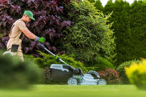 Lawn Management in Prescott Valley