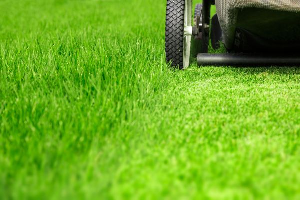 Weekly Lawn Care in Prescott Valley