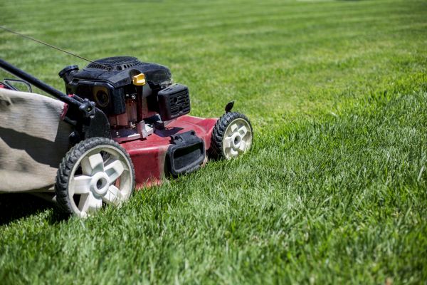 Cost of Routine Lawn Care in Prescott Valley