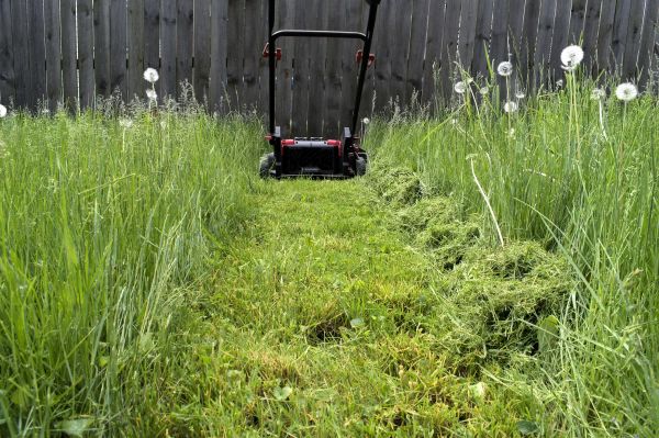 High Grass Mowing in Prescott Valley