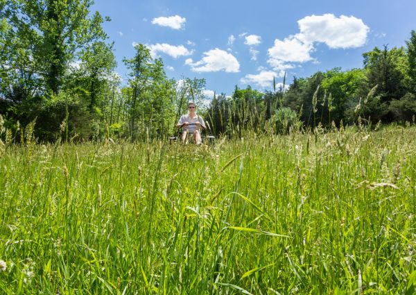 Long Grass Mowing in Prescott Valley