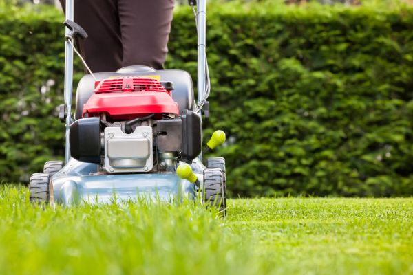 Grass Trimming Service in Prescott Valley