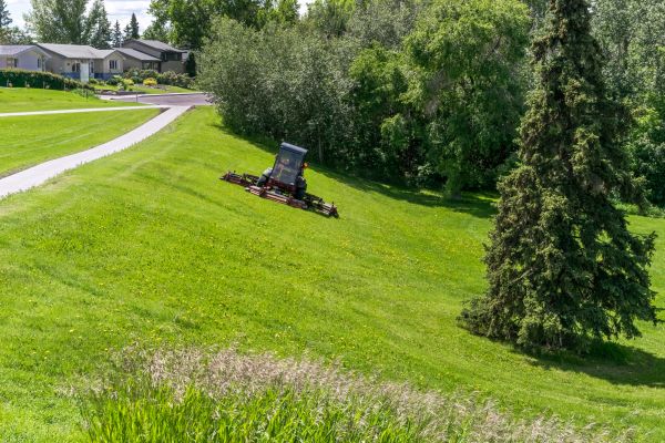 Hill Mowing in Prescott Valley