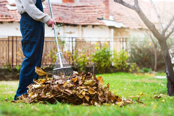 Cost of Routine Lawn Maintenance in Prescott Valley
