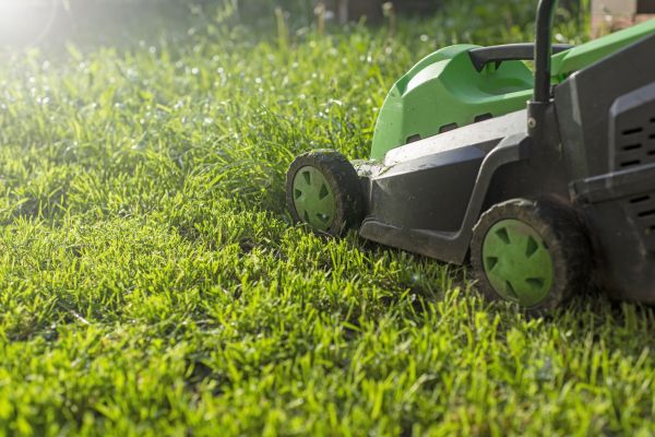 Cost of Lot Mowing in Prescott Valley