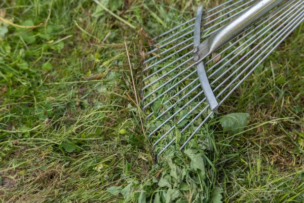 Thatch Raking in Prescott Valley