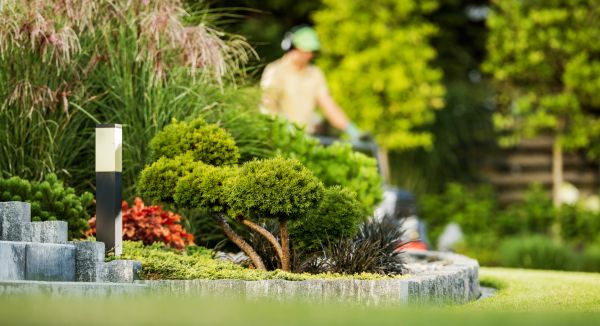 Residential Yard Maintenance in Prescott Valley