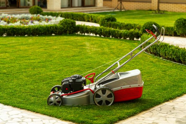 Business Grass Cutting in Prescott Valley