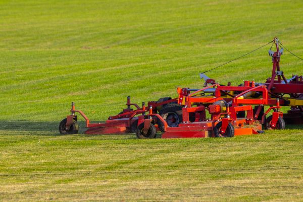 Industrial Lawn Service in Prescott Valley