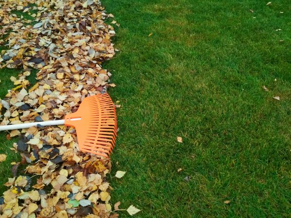 Fall Lawn Care in Prescott Valley