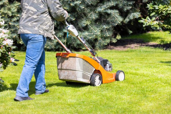 Springtime Lawn Care in Prescott Valley