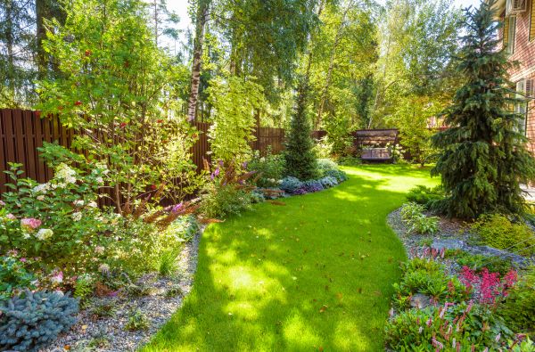 Spring Yard Maintenance in Prescott Valley