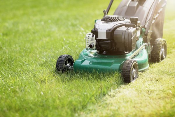 Cost of Spring Grass Trimming in Prescott Valley