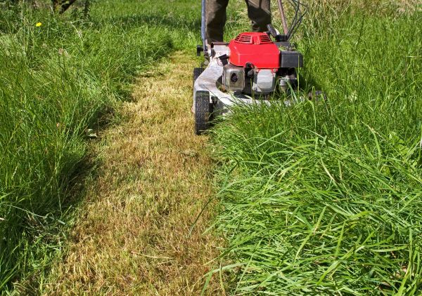 Leaf Mowing in Prescott Valley