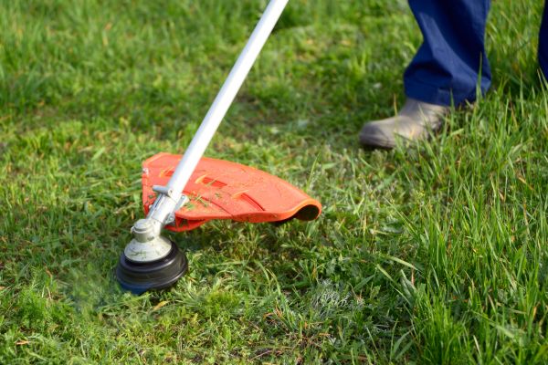 Cost of Lawn Weed Whacking in Prescott Valley