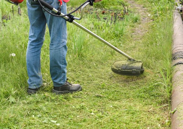 Cost of Tall Grass Trimming in Prescott Valley