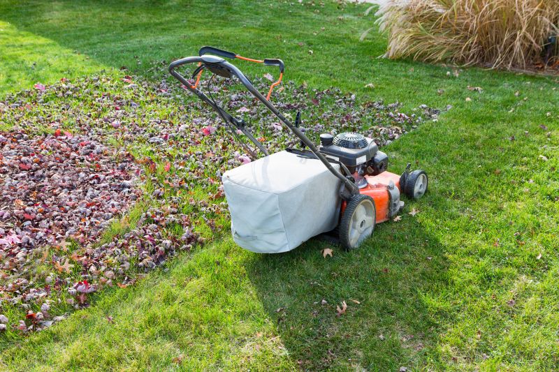 Lawn Clearing Equipment