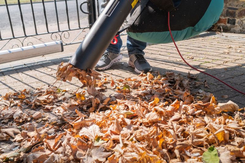Leaf Blowing for Clean-Up