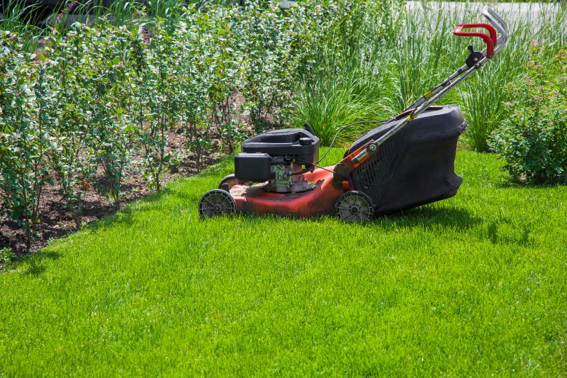Lawn Maintenance detail