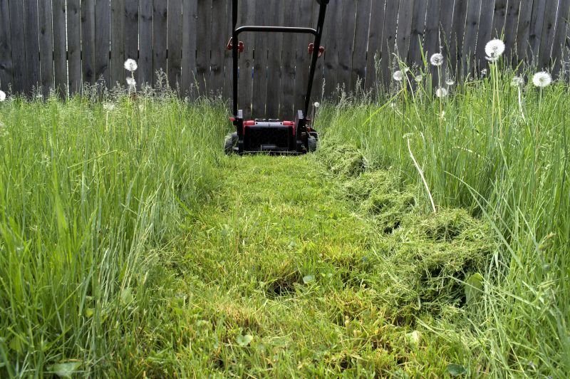 Late Spring Mowing