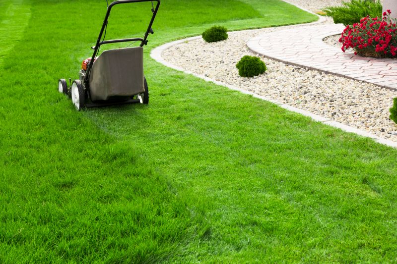 Affordable Lawn Maintenance
